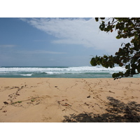 รูปถ่าย ปานามา(Panama) เกาะบาสติเมนโตส(Bastimentos) 2015-03 56