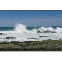 รูปถ่าย แอฟริกาใต้(South Africa) อุทยานแห่งชาติซิตซิคัมมา(Tsitsikamma National Park) 2008-09 81