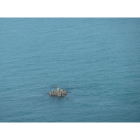 รูปถ่าย ฝรั่งเศส(France) แหลมกรูแอ็ง(Grouin Point) 2010-04 0