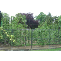รูปถ่าย ฝรั่งเศส(France) ปารีส(Paris) สวนลักเซมเบิร์ก(Luxembourg Garden) 2007-04 3