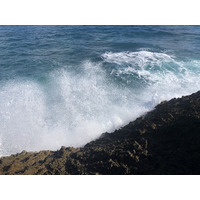รูปถ่าย กวาเดอลูป(Guadeloupe) แหลมคาสเซิลพอยต์(Castle Point) 2021-02 40