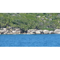 รูปถ่าย เซเชลส์(Seychelles) เกาะกร็องด์เซอร์(Grande Soeur) 2011-10 62