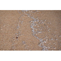 รูปถ่าย ฝรั่งเศส(France) คานส์(Cannes) หาดทราย(Beach) 2008-04 31