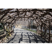 รูปถ่าย สหรัฐอเมริกา(United States) นิวยอร์ก(New York) เซ็นทรัลพาร์ก(Central Park) 2006-03 55