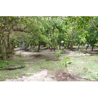 รูปถ่าย เซเชลส์(Seychelles) เกาะปราลิน(Praslin) 2011-10 137