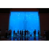 รูปถ่าย สหรัฐอาหรับเอมิเรตส์(United Arab Emirates) ดูไบ(Dubai) สวนน้ำอควาเวนเจอร์ ดูไบ(Dubai Aquaventure) 2009-01 69
