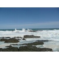 รูปถ่าย แอฟริกาใต้(South Africa) อุทยานแห่งชาติซิตซิคัมมา(Tsitsikamma National Park) 2008-09 116