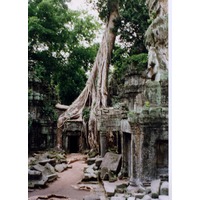 รูปถ่าย กัมพูชา(Cambodia) นครวัต(Angkor) 1996-06 23