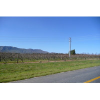 รูปถ่าย แอฟริกาใต้(South Africa) ถนนจากเคปทาวน์ไปเฮอร์มานัส(Cape Town to Harmanus road) 2008-09 20