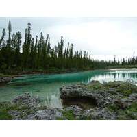 รูปถ่าย นิวแคลิโดเนีย(New Caledonia) 2010-05 20