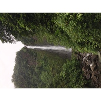 รูปถ่าย กวาเดอลูป(Guadeloupe) น้ำตกการ์เบ(Carbet Falls) 2021-02 55