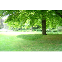 รูปถ่าย ฝรั่งเศส(France) ปารีส(Paris) สวนลักเซมเบิร์ก(Luxembourg Garden) 2007-04 178