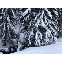 รูปถ่าย ฝรั่งเศส(France) ลากลูซา(La Clusaz) 2017-12 288