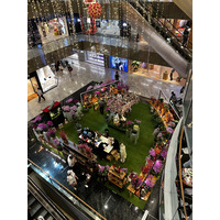 รูปถ่าย สิงคโปร์(Singapore) ถนนออร์ชาร์ด(Orchard road) 2023-01 79