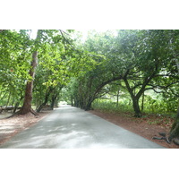 รูปถ่าย เซเชลส์(Seychelles) เกาะปราลิน(Praslin) 2011-10 107