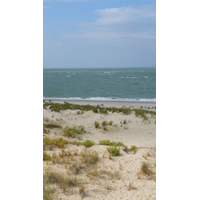 รูปถ่าย ฝรั่งเศส(France) ปากแม่น้ำฌีรงด์(Gironde estuary) 2007-08 60