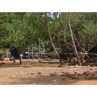 รูปถ่าย อินเดีย(India) กัว(Goa) 2003-05 23