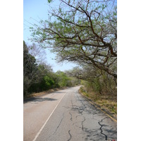 รูปถ่าย แอฟริกาใต้(South Africa) ถนนจากเนลสปรุตไปโจฮันเนสเบิร์ก(Nelspruit to Johannesburg road) 2008-09 83