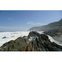 รูปถ่าย แอฟริกาใต้(South Africa) อุทยานแห่งชาติซิตซิคัมมา(Tsitsikamma National Park) 2008-09 174