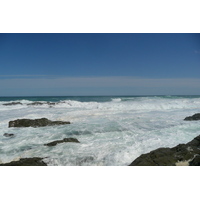 รูปถ่าย แอฟริกาใต้(South Africa) อุทยานแห่งชาติซิตซิคัมมา(Tsitsikamma National Park) 2008-09 183