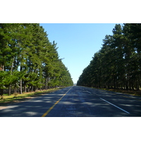 รูปถ่าย แอฟริกาใต้(South Africa) ถนนจากเคปทาวน์ไปเฮอร์มานัส(Cape Town to Harmanus road) 2008-09 29