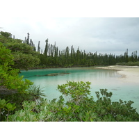 รูปถ่าย นิวแคลิโดเนีย(New Caledonia) เกาะต้นสน(Ile des pins) อ่าวโอโร(Oro Bay) 2010-05 46