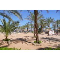 รูปถ่าย อียิปต์(Egypt) ชาร์มเอลชีค(Sharm el Sheikh) 2008-06 66