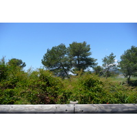 รูปถ่าย ฝรั่งเศส(France) เฟรนช์ริวิเอรา(French Riviera) คาบสมุทรอีแยร์(Hyeres peninsula) 2008-05 1