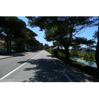รูปถ่าย ฝรั่งเศส(France) เฟรนช์ริวิเอรา(French Riviera) คาบสมุทรอีแยร์(Hyeres peninsula) 2008-05 17