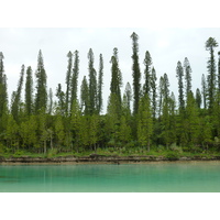 รูปถ่าย นิวแคลิโดเนีย(New Caledonia) เกาะต้นสน(Ile des pins) อ่าวโอโร(Oro Bay) 2010-05 44
