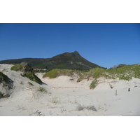 รูปถ่าย แอฟริกาใต้(South Africa) ถนนจากเคปทาวน์ไปเฮอร์มานัส(Cape Town to Harmanus road) 2008-09 4