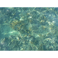 รูปถ่าย ฟิจิ(Fiji) จากเกาะอามูนูกาไปเกาะแคสต์อะเวย์(Amunuca Island to Castaway Island) 2010-05 53