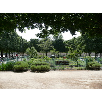 รูปถ่าย ฝรั่งเศส(France) ปารีส(Paris) สวนตุยเลอรี(Garden of Tuileries) 2007-05 362