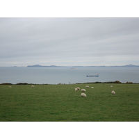 รูปถ่าย อังกฤษ(United Kingdom) เปมโบรคเชอร์(Pembrokeshire) 2006-05 1