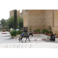 รูปถ่าย โมร็อกโก(Morocco) เฟส(Fes) เมดินาเฟส(Fes Medina) 2008-07 17