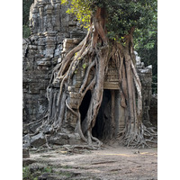 รูปถ่าย กัมพูชา(Cambodia) เสียมราฐ(Siem Reap) ปราสาทตาสม(Ta Som) 2023-01 14