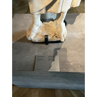 รูปถ่าย ฝรั่งเศส(France) ปารีส(Paris) พิพิธภัณฑ์กลูนี(Cluny Museum) 2023-02 10