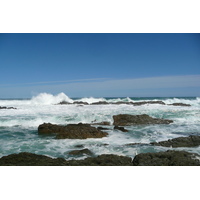 รูปถ่าย แอฟริกาใต้(South Africa) อุทยานแห่งชาติซิตซิคัมมา(Tsitsikamma National Park) 2008-09 155