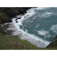รูปถ่าย อังกฤษ(United Kingdom) เปมโบรคเชอร์(Pembrokeshire) มาร์ตินส์เฮเวน(Martins Havens) 2006-05 8