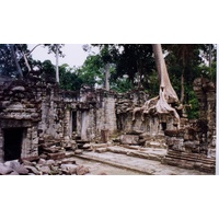 รูปถ่าย กัมพูชา(Cambodia) นครวัต(Angkor) 1996-06 58