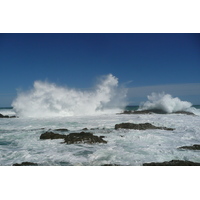 รูปถ่าย แอฟริกาใต้(South Africa) อุทยานแห่งชาติซิตซิคัมมา(Tsitsikamma National Park) 2008-09 274