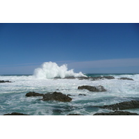 รูปถ่าย แอฟริกาใต้(South Africa) อุทยานแห่งชาติซิตซิคัมมา(Tsitsikamma National Park) 2008-09 258