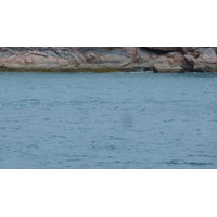 รูปถ่าย เซเชลส์(Seychelles) อ่าวอ็องส์ปอสเซสซียง(Anse Possession) 2011-10 4