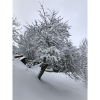 รูปถ่าย ฝรั่งเศส(France) ลากลูซา(La Clusaz) 2017-12 281