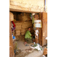 รูปถ่าย โมร็อกโก(Morocco) เฟส(Fes) 2008-07 11