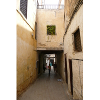 รูปถ่าย โมร็อกโก(Morocco) เฟส(Fes) 2008-07 14