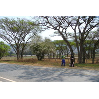 รูปถ่าย แอฟริกาใต้(South Africa) ถนนจากเนลสปรุตไปโจฮันเนสเบิร์ก(Nelspruit to Johannesburg road) 2008-09 152