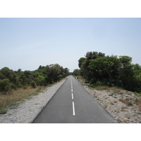 รูปถ่าย ฝรั่งเศส(France) โซเมียร์(Sommieres) 2006-06 9