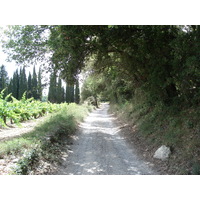 รูปถ่าย ฝรั่งเศส(France) โซเมียร์(Sommieres) 2006-06 125