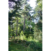 รูปถ่าย ฝรั่งเศส(France) ปารีส(Paris) สวนพันธ์ุพืช(Jardin des Plantes) 2007-08 27
